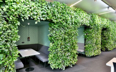 Groene wand: de perfecte oplossing voor een duurzaam en gezond Interieur