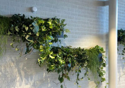 Hanging maatwerkbak staal met mixbeplanting