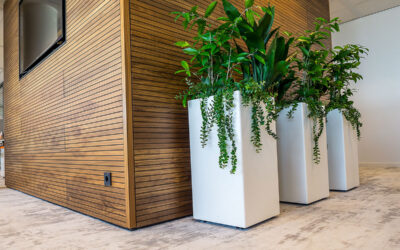 Outlet design potten – zaterdag 15 juni