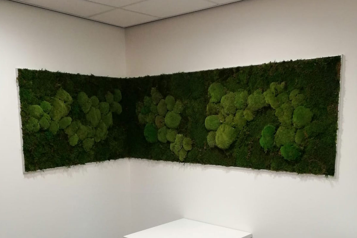 Interieurbeplanting moswanden uitgelicht Groene wand AJ Real Estate