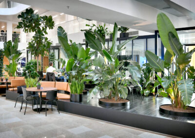 Jungle atrium met mixbeplanting