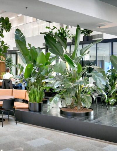 Jungle atrium met mixbeplanting