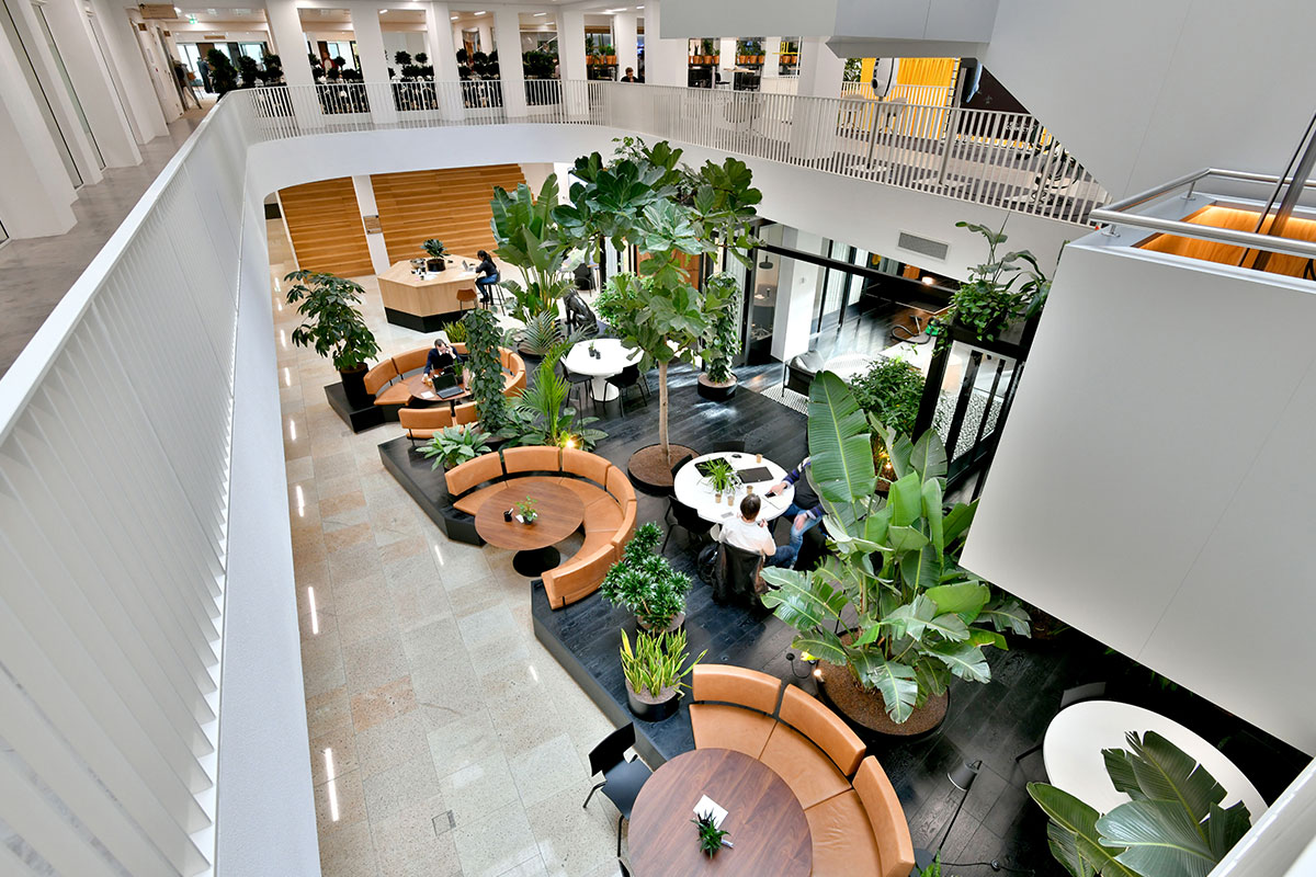 Jungle atrium met mixbeplanting