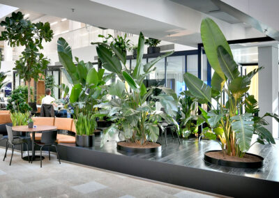 Jungle-atrium-met-mixbeplanting