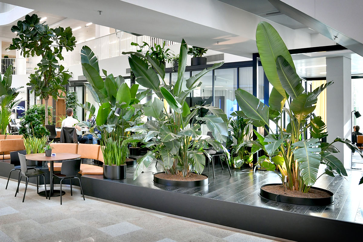 Jungle-atrium-met-mixbeplanting