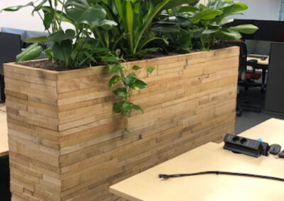 Maatwerkbak hout bekleed met mixbeplanting