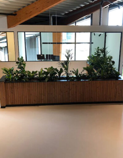 Rechthoekige houten paneelbak met mixbeplanting