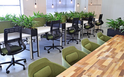 Het belang van luchtzuiverende planten op kantoor