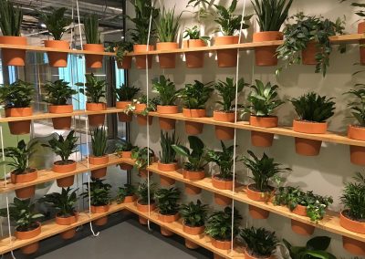 Verschillende soorten potten met planten