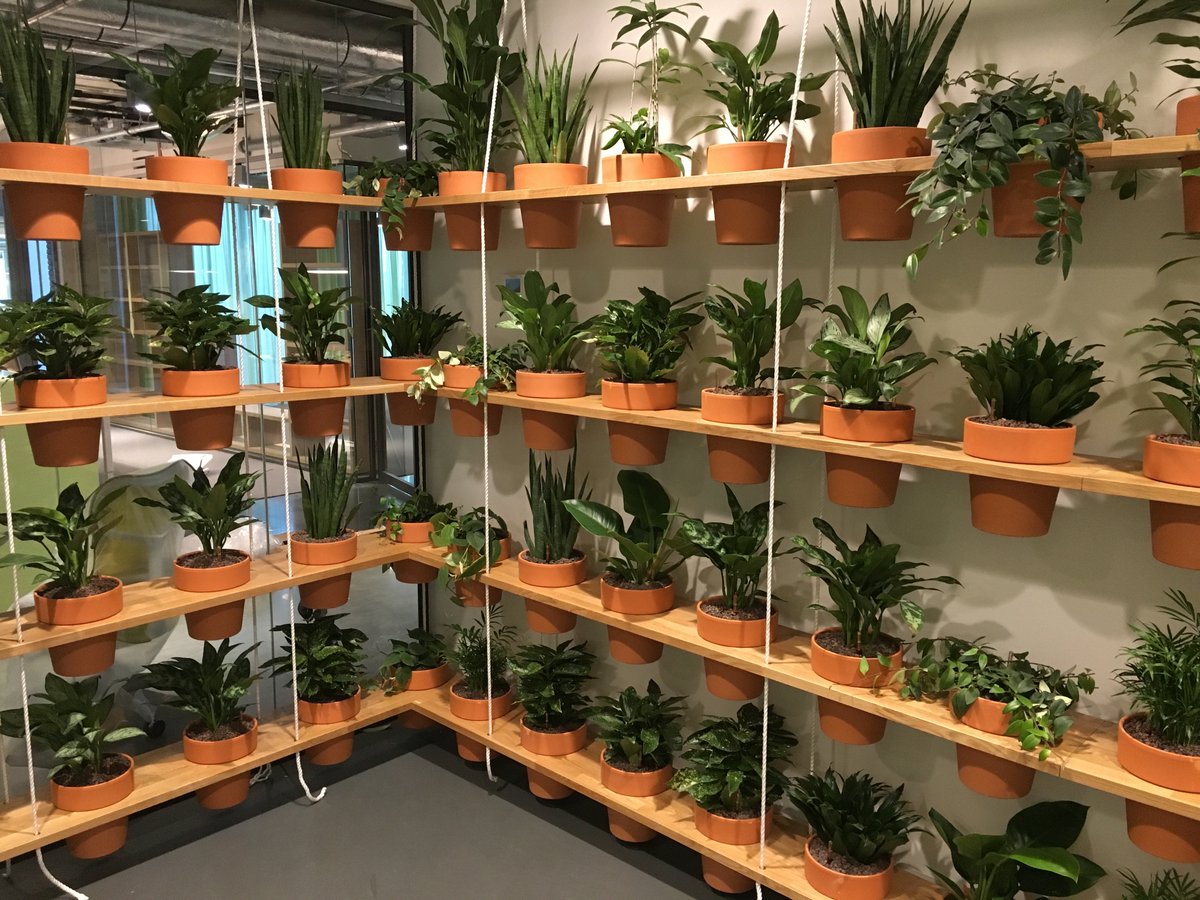 Verschillende soorten potten met planten