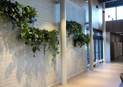 Hanging maatwerkbak staal met mixbeplanting