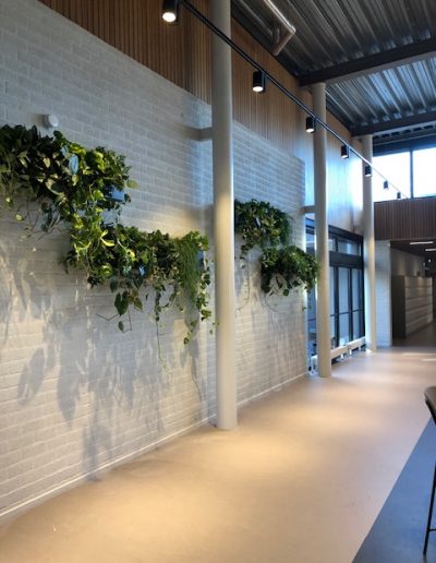 Hanging maatwerkbak staal met mixbeplanting