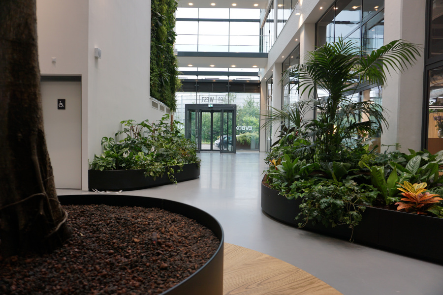 maatwerkbak zwarte stalen rand mixbeplanting 1,5 beplanting