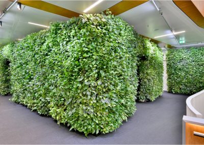 Groenewand plantenwand