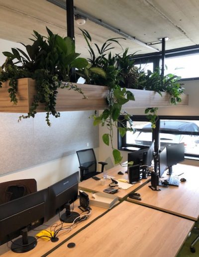 Houten maatwerkbak incl. verlichting en mixbeplanting hangend boven bureau