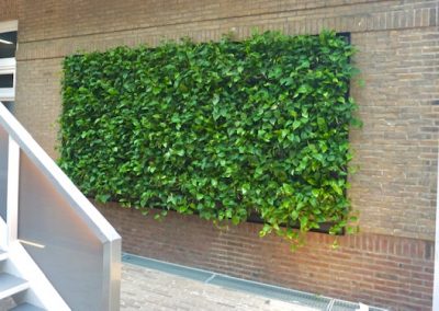 Groene wand Mobilane met mixbeplantin