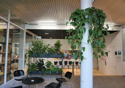 Maatwerk pilaarhanger met Philondendron Scandens en Mynthe met mixbeplanting