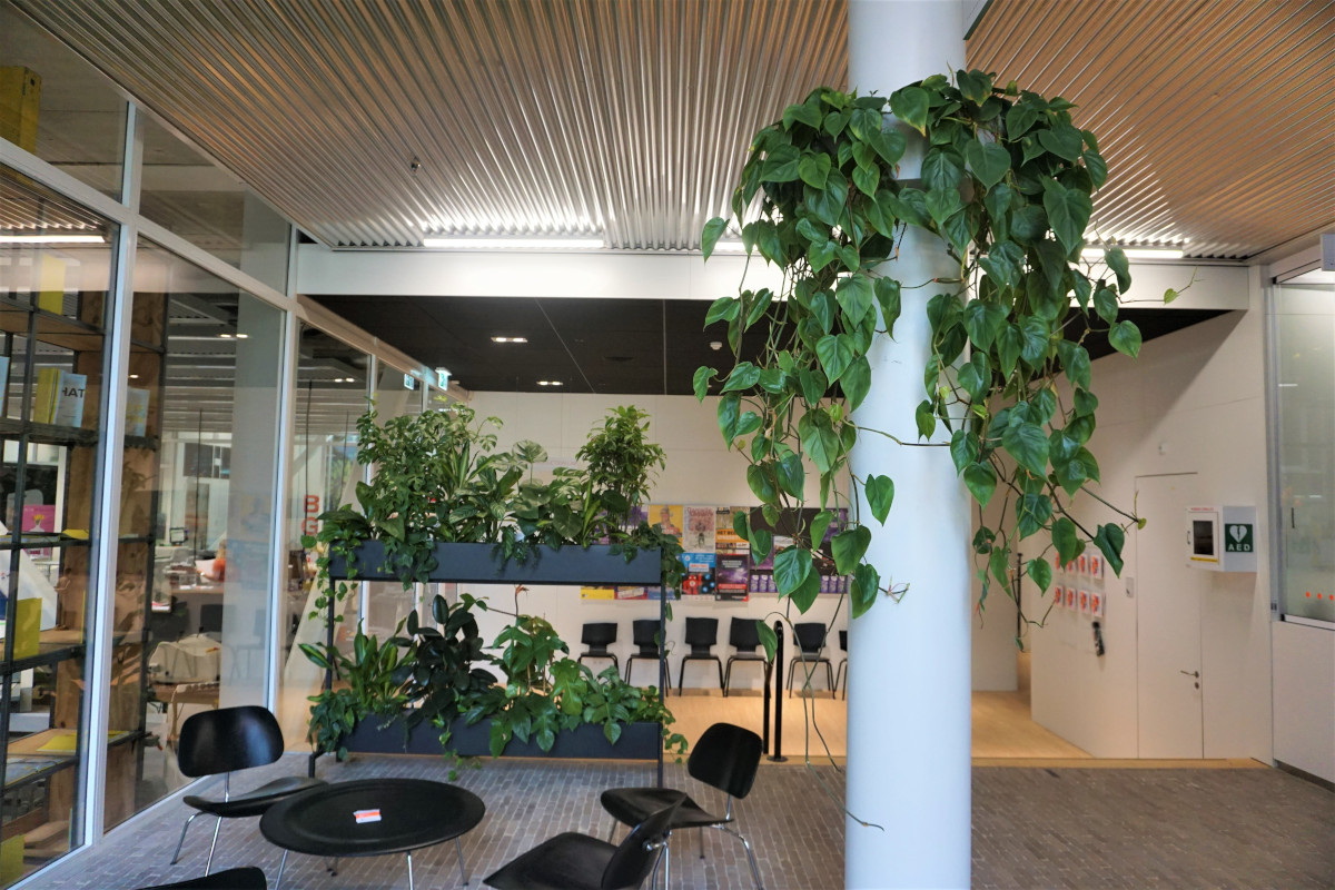 Maatwerk pilaarhanger met Philondendron Scandens en Mynthe met mixbeplanting