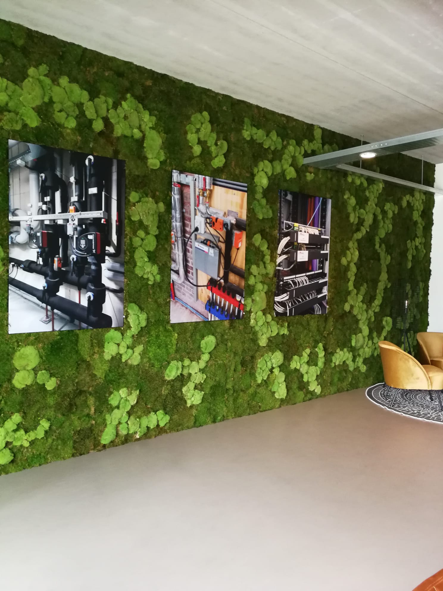 moswand bolmos en platmos met posters moswand bolmos en platmos met posters