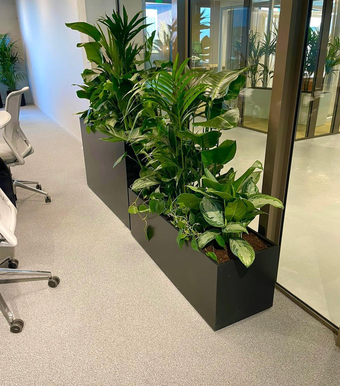 Plantenbakken zwart Plantenbakken zwart