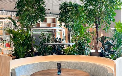 Groen in het interieur: De rol van een interieurarchitect en interieurbeplanting