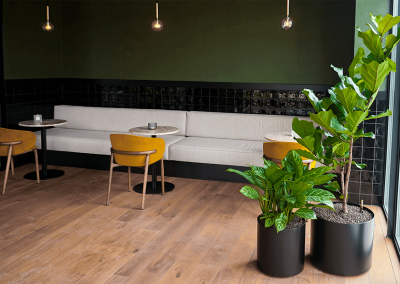 Interieurbeplanting-modderkolk-kantine-planten