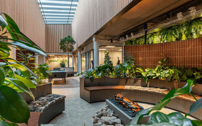 Kantoortrends 2025 – slimme open kantoortuinen met planten