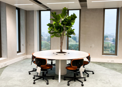 Kantoorbeplanting-Bureau