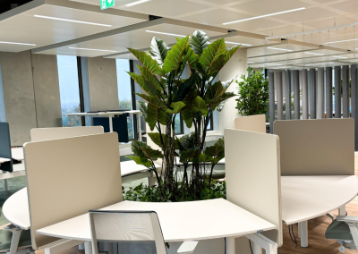 Kantoorbeplanting-Bureau