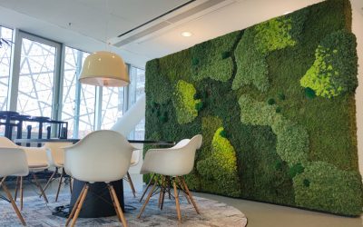 Een moswand, het perfecte groene accent voor jouw werkplek