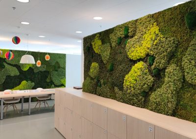 Moswand-verschillende-soorten-mos