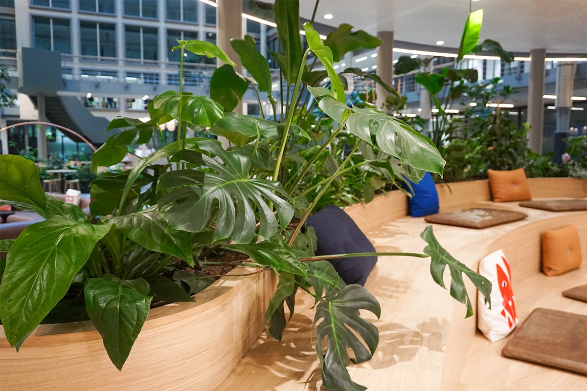 Interieurbeplanting-EdgeWorkspace-groen