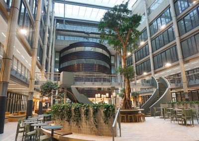Interieurbeplanting EdgeWorkspace grote boom