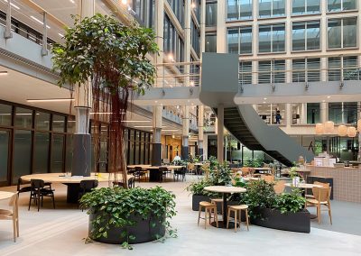 Interieurbeplanting EdgeWorkspace groteboom