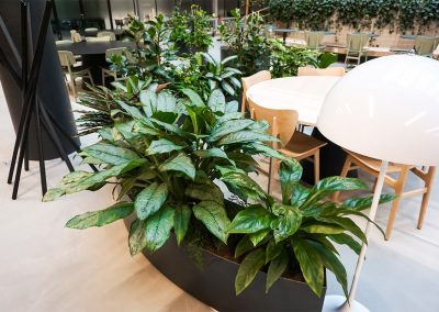 Interieurbeplanting EdgeWorkspace mooie planten