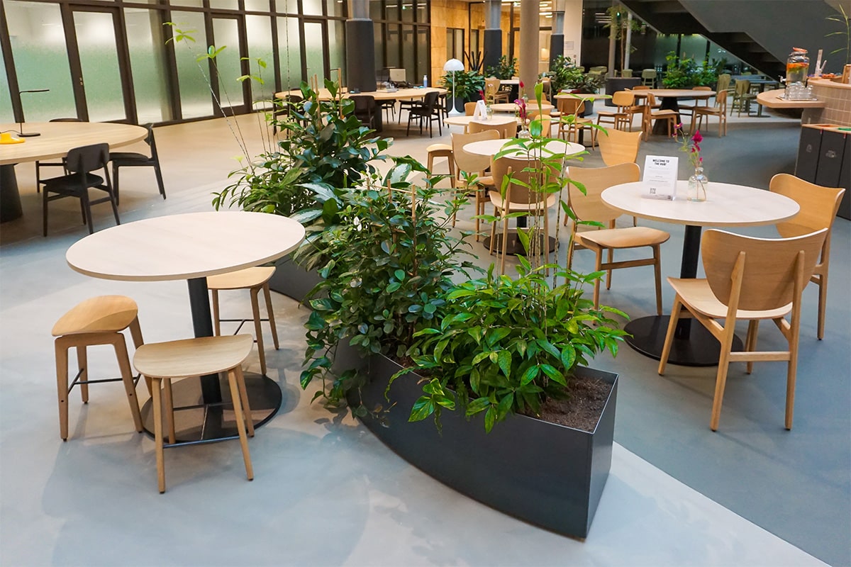 Interieurbeplanting EdgeWorkspace-planten openwerkplek