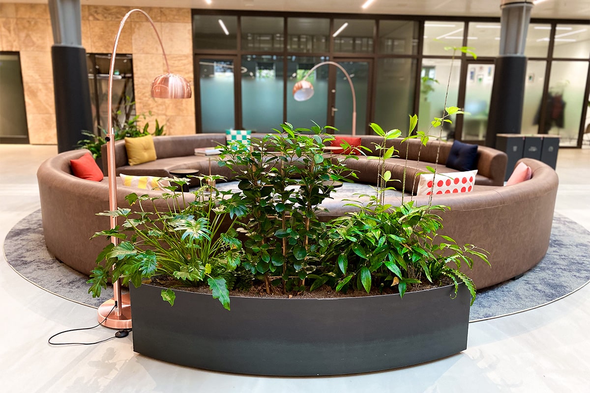 Interieurbeplanting EdgeWorkspace ronde vorm planten