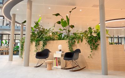 Interieurtrends 2024: Dit zijn de trends voor interieurbeplanting