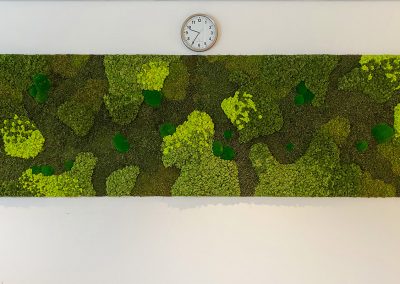 Interieurbeplanting-groene-werkomgeving-moswand