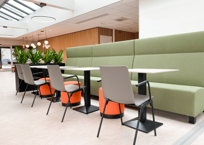 Interieurbeplanting-groene-werkomgeving-planten