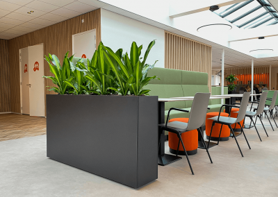 Interieurbeplanting-groene-werkomgeving-plantenbak