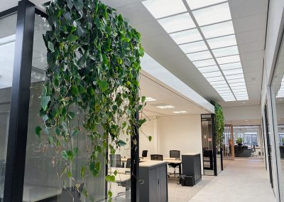 Interieurbeplanting-ruimtebesparend-hangbeplanting