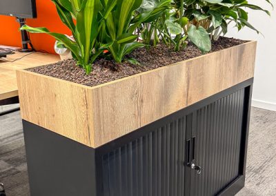 Interieurbeplanting-plant-op-kast