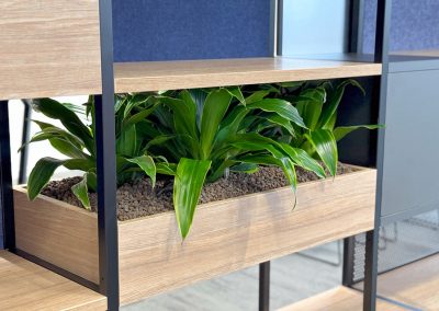 Interieurbeplanting-planten-in-kast