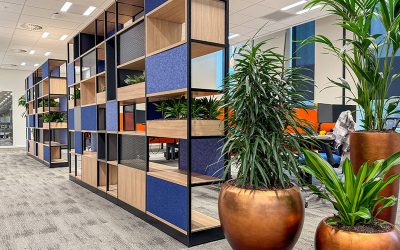 De voordelen van interieurbeplanting voor duurzaamheid