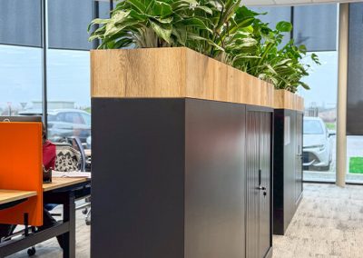 Kast-roomdiver-planten