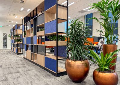 Plantenkast-op-kantoor