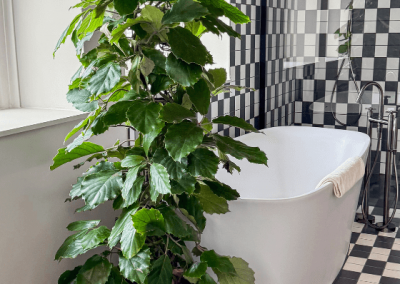 Interieurbeplanting-echte-planten-hotelkamer