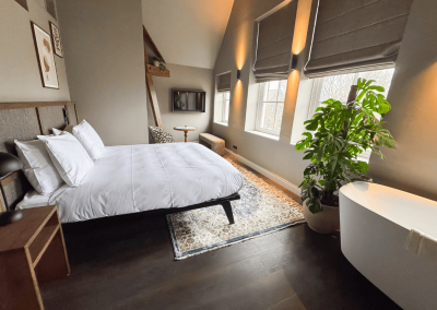 Interieurbeplanting-hotelkamer-echte-planten