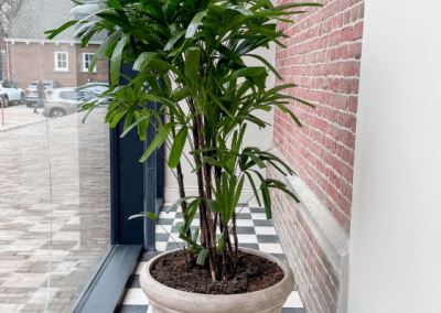 Interieurbeplanting-planten-hal